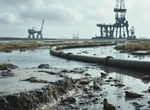 Угрожает ли проект Sea Link прибрежной экосистеме?