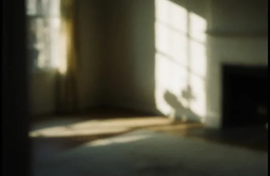 Техасская эпидемия кори: