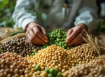 Скрытая биохимия: как способы обработки меняют пользу растительных продуктов