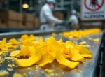 Почему La Mexicana Tortilla Factory отозвала чипсы из-за Yellow 5?