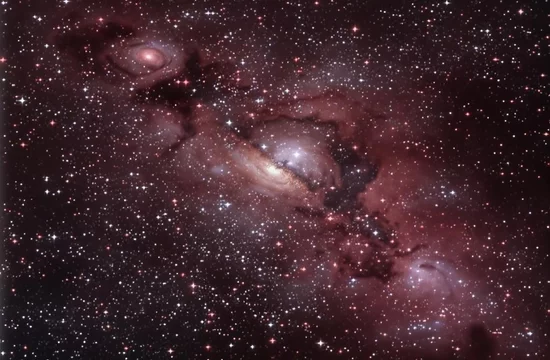 Карлики-невращатели: революционная разгадка