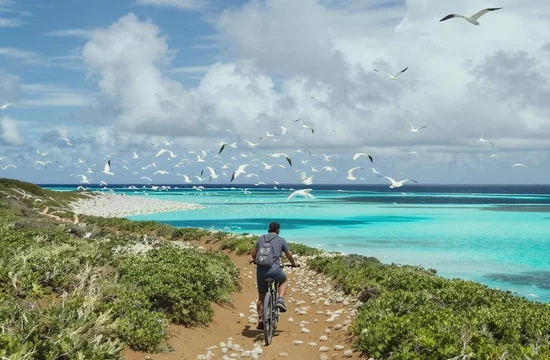 Мидуэй: где история