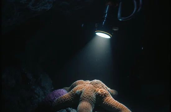 Сокровища каньона Мар-дель-Плата: