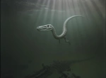 17009