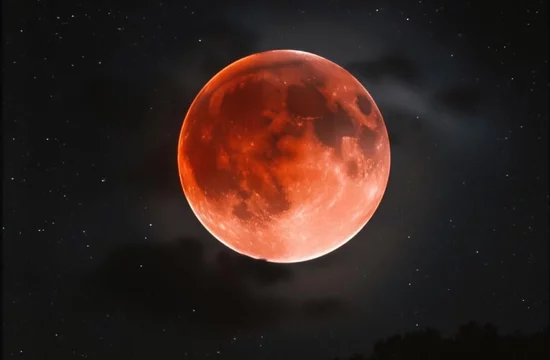 Увидит ли большая