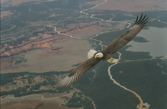 Точные карты и