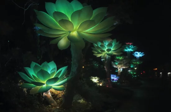 Заменят ли светящиеся