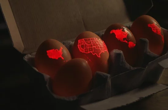 Могли ли яйца