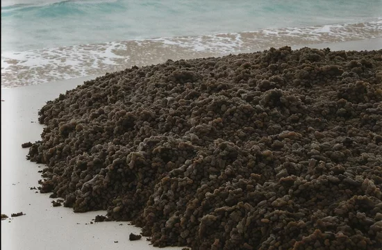 Почему гигантский пояс