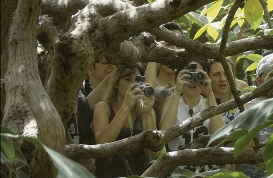 Южноамериканский странник: редчайшая