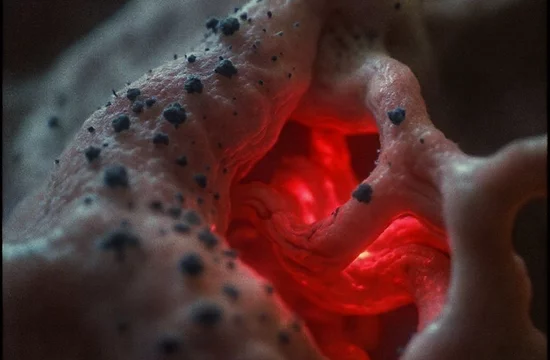 Тридцать минут в