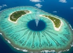 Что скрывает коралловый кит в карибском море?