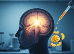 Нейробиологи определили область мозга, где рождается вкус