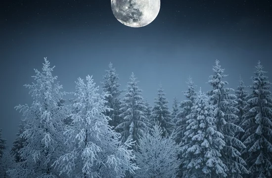 Чем уникальна самая