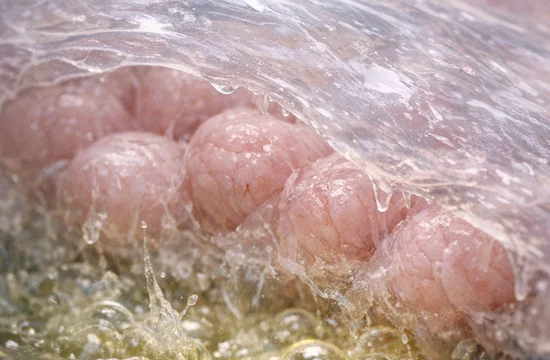 Скрытый механизм защиты