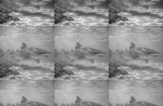 Почему именно в