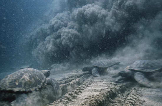 Могло ли подводное