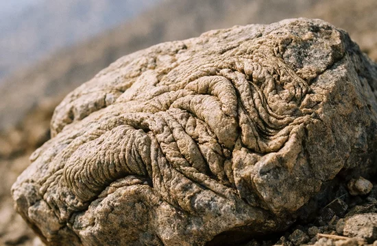 Откуда в горах