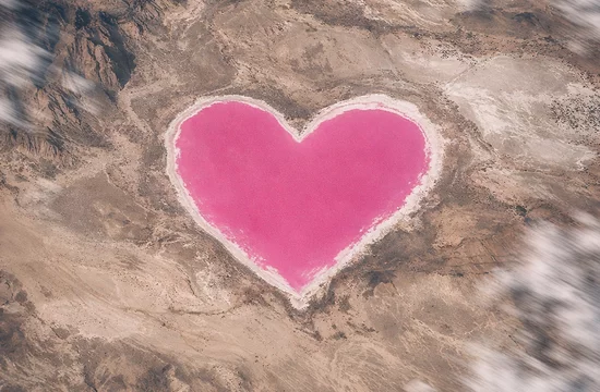 Розовое сердце Аргентины,