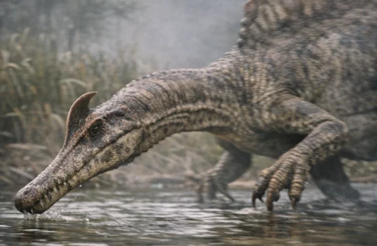 Почему спинозавра из