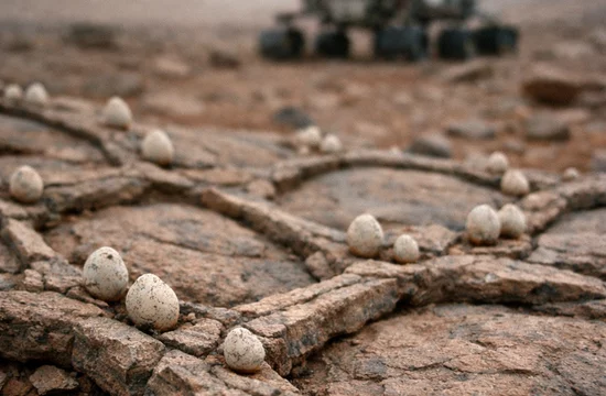 Каменная паутина Марса