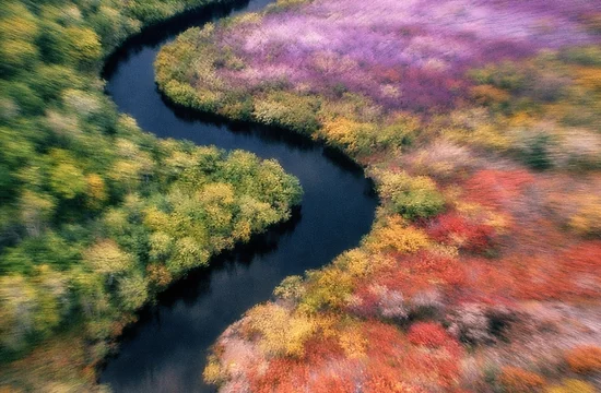 Что показал первый