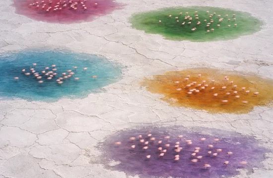 Почему у «Великого