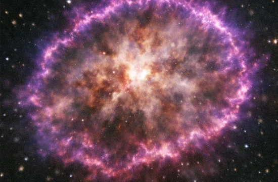 Что нового нашёл