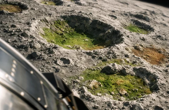 Зелёная и коричневая