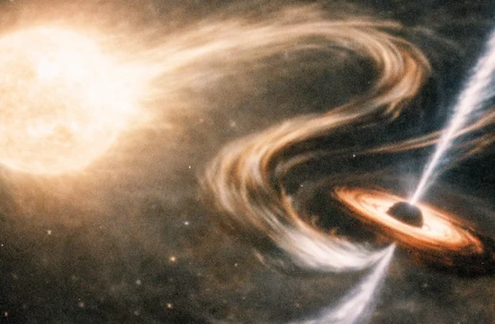Чёрная дыра лебедь