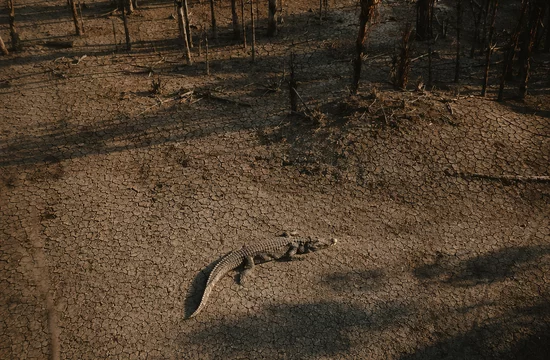 Почему Флорида пересыхает