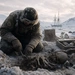 [b]Кости в бухте эребус: что кости моряков Франклина рассказывают спустя полтора века[/b]