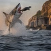Где смотреть новый выпуск «Air Jaws» в разгар Shark Week 2026?