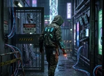 20667