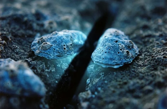 BlueMoon: атака из