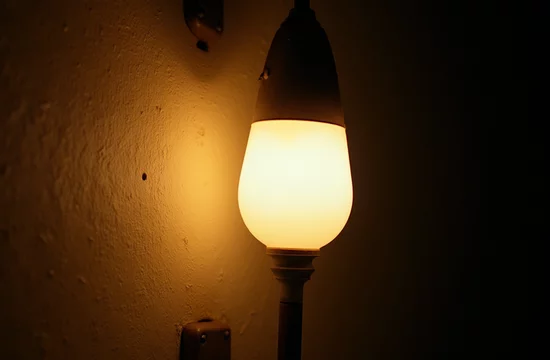Свет и прогресс: