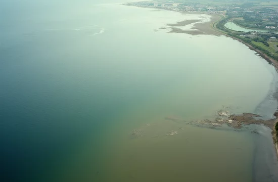 Является ли Нева