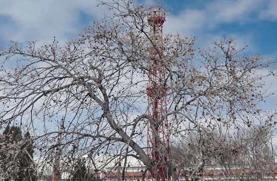 Система регламентов: баланс между порядком и гибкостью