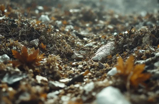 Как человечество разрушает