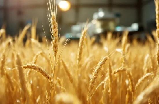Прорыв в биоинженерии: