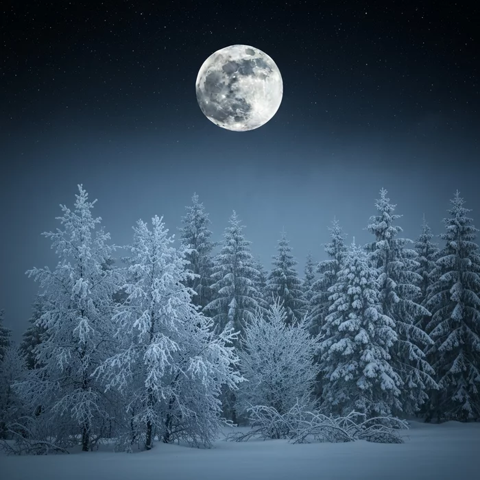 Чем уникальна самая высокая «холодная» суперлуна декабря 2025 года?