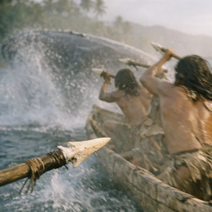 Как найденные в Бразилии древние гарпуны опровергли теорию о полярном происхождении китобойного промысла?