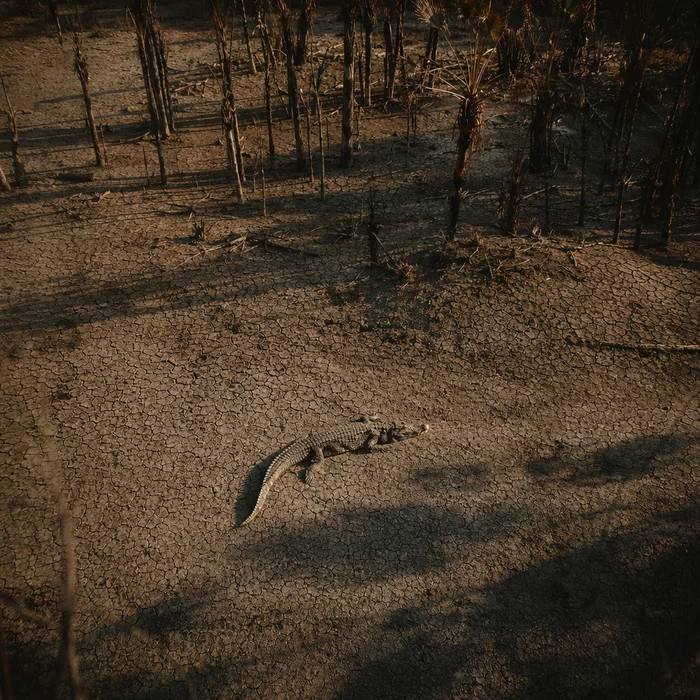 Почему Флорида пересыхает сильнее, чем за последние 15 лет?